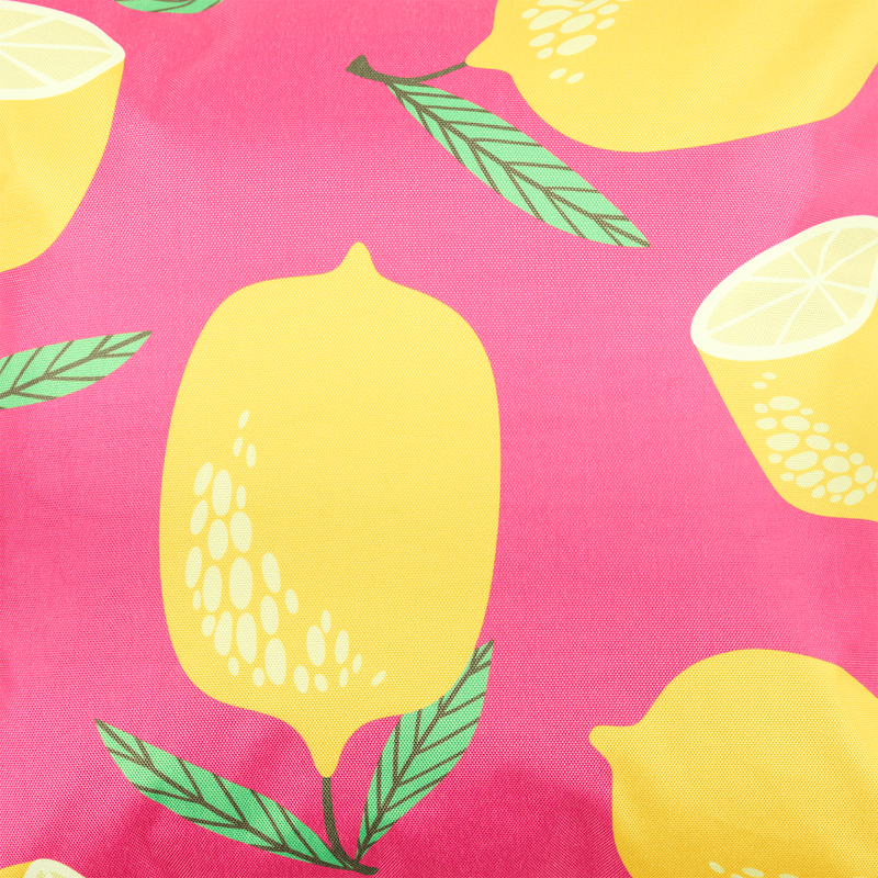 Lemon Fruit Outdoor Cushion