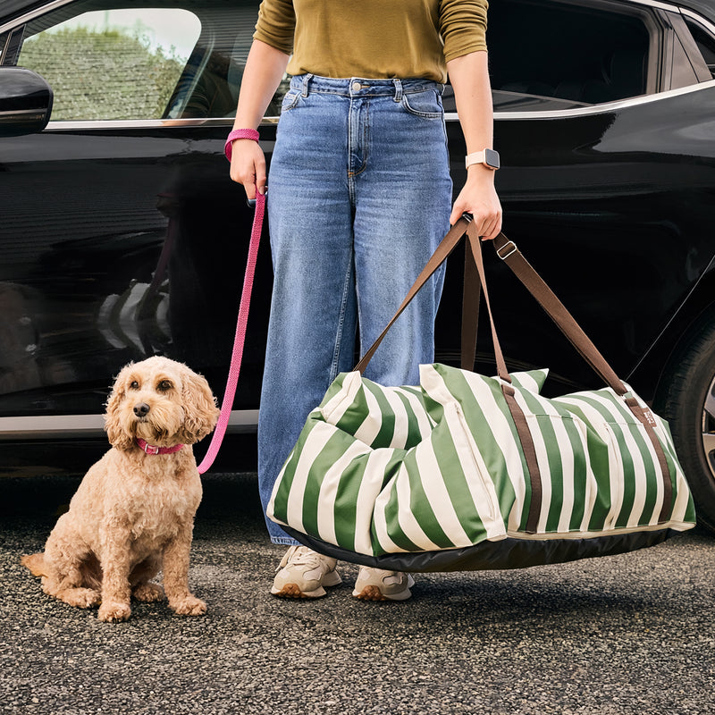 Pet Travel Bed - Medium - Stripe Green