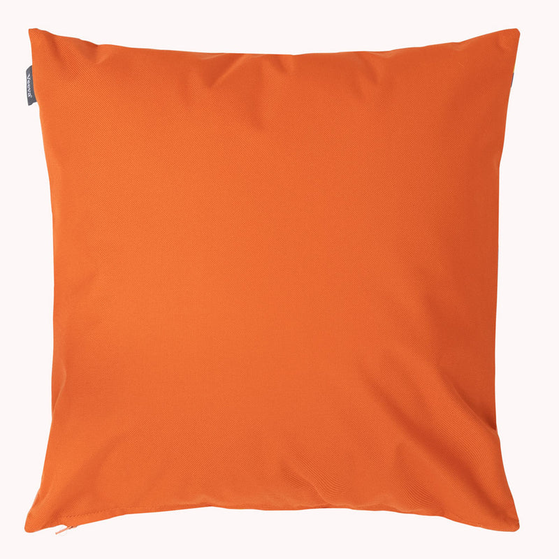 Papaya Fruit Outdoor Cushion